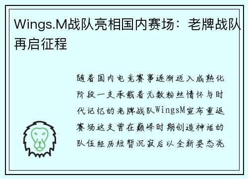 Wings.M战队亮相国内赛场：老牌战队再启征程